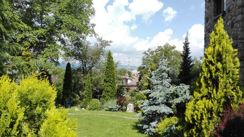 Pension Casa Contelui Rîşnov Eksteriør billede