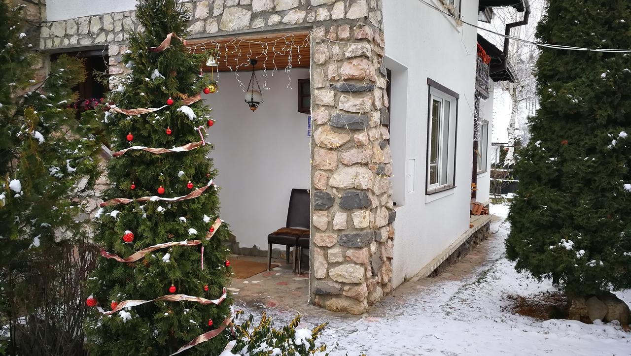 Pension Casa Contelui Rîşnov Eksteriør billede